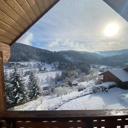 De La Grimpette Au Coeur De Chalet Gérardmer