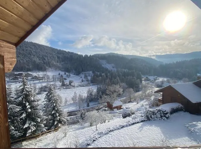 De La Grimpette Au Coeur De Chalet Gérardmer